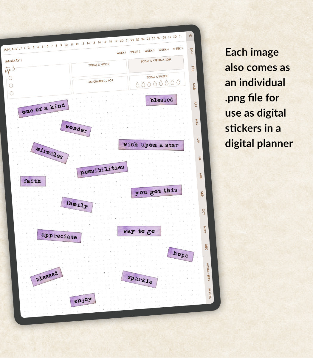 Happy Life Journal Words in Wisteria