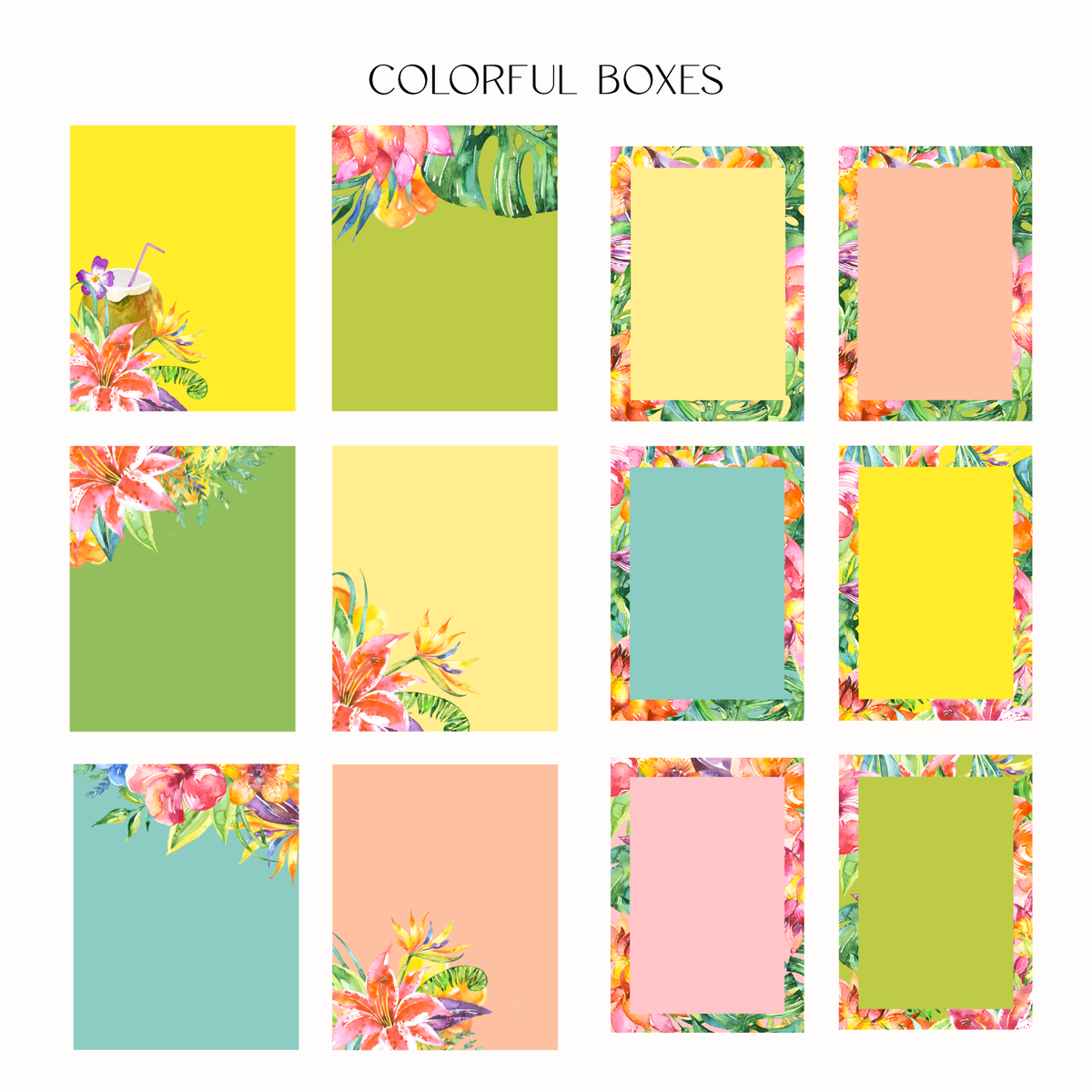 A grid of colorful rectangular boxes with tropical floral and leaf borders under the text 'COLORFUL BOXES'. The boxes feature solid colors like yellow, green, pink, peach, and blue, with some decorated with watercolor flowers and leaves.
