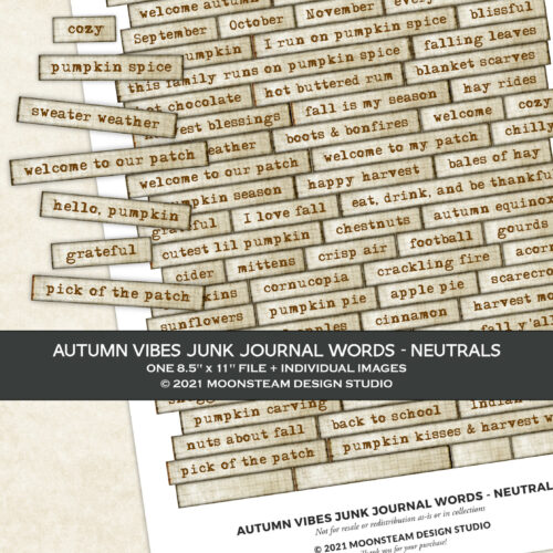 Autumn Vibes Journal Words in Neutral by Moonsteam Design Studio