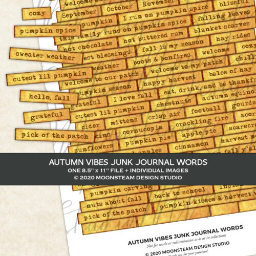 Autumn Vibes Journal Words in Orange by Moonsteam Design Studio