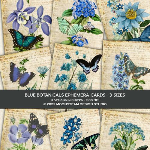 Blue Botanicals Ephemera Cards by Moonsteam Design Studio